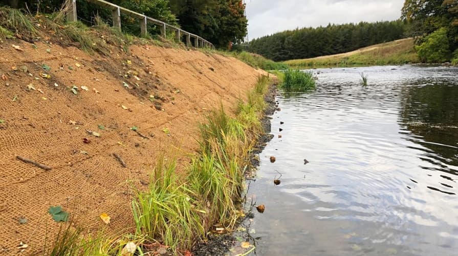 Kokosová sieť na brehu rieky