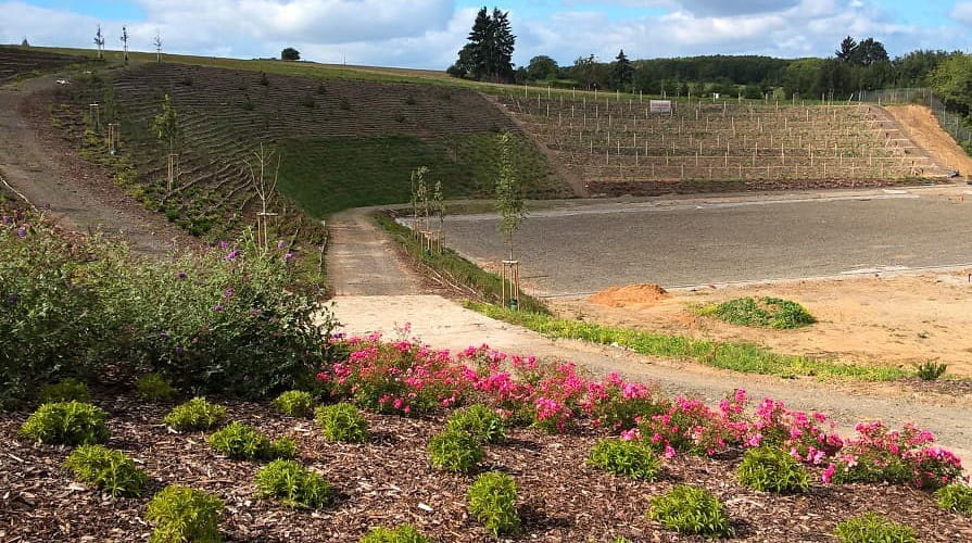 Rekultivácia svahov bývalej pieskovne