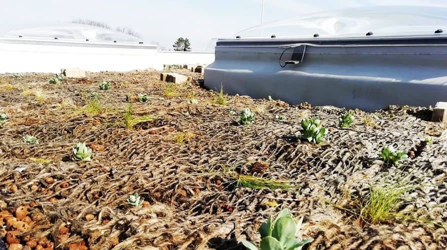 Georohože na zelených strechách