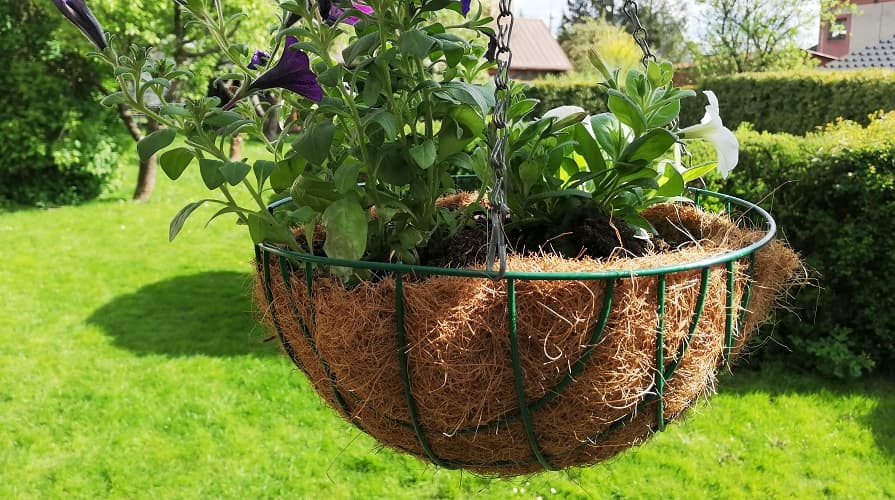 Kokosová rohož ako kvetináč