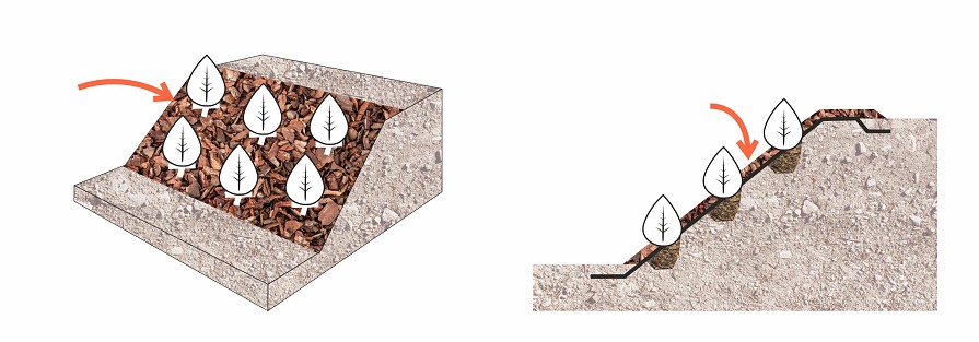 Mulč položený na kokosové rohože